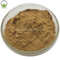 Shiitake Mushroom Powder Extract in bulk